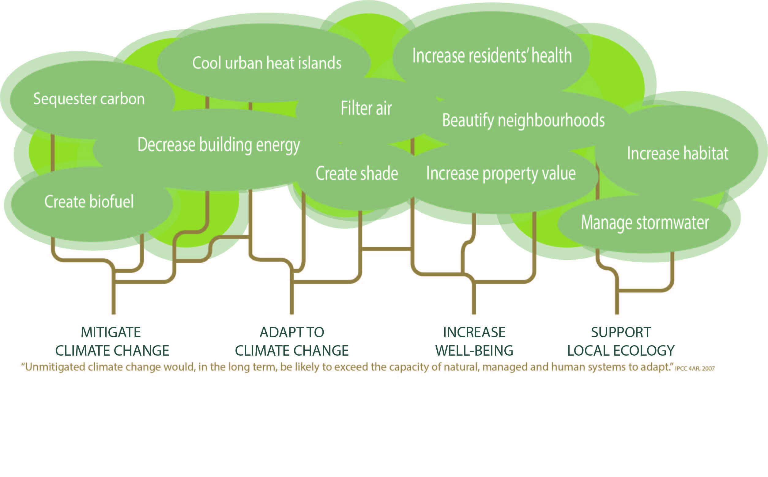 climate tree